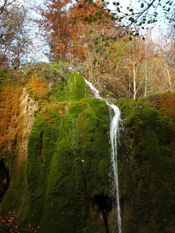 Fuchshofen Bed&Breakfast Eifelpension Brueckenschenke المظهر الخارجي الصورة